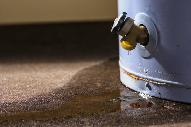 Best Sewage cleanup and water damage restoration  in Canal Fulton, OH