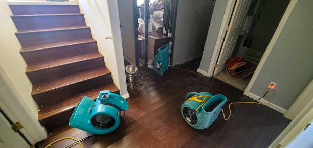 Best Basement water damage restoration  in Canal Fulton, OH