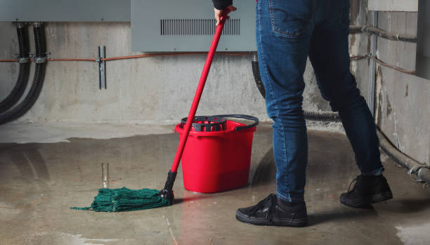 Best Water damage cleanup near me  in Canal Fulton, OH