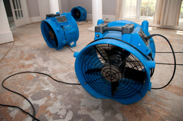 Best Mold removal after water damage  in Canal Fulton, OH