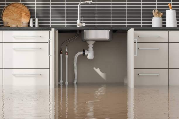 Best Water damage cleanup near me  in Canal Fulton, OH