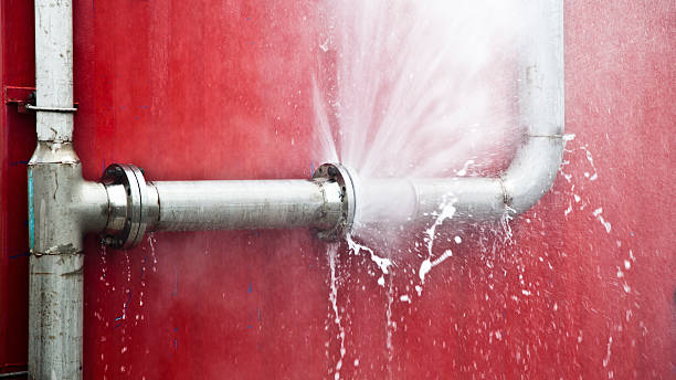 Best Mold removal after water damage  in Canal Fulton, OH